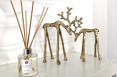 Reed Diffuser Mother's Day