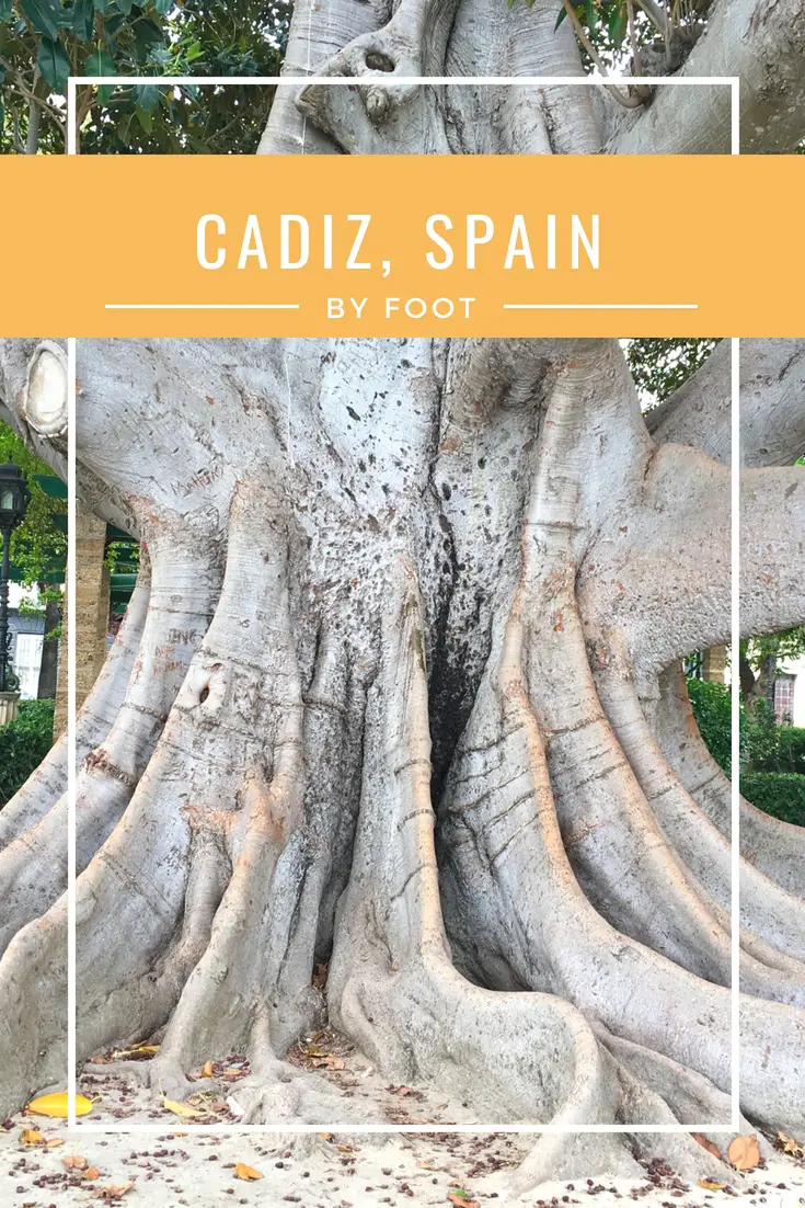 A walking tour of Cadiz, Spain, perfect with kids and if you're calling Cadiz your port of call for the day. #Cadiz #Spain #CadizSpain #PortofCall #EuropeanCruise #Mediterranean Cruise