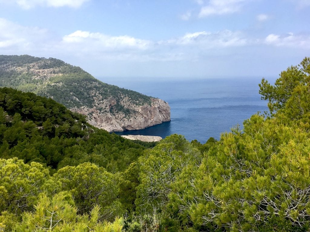Ibiza Point of View