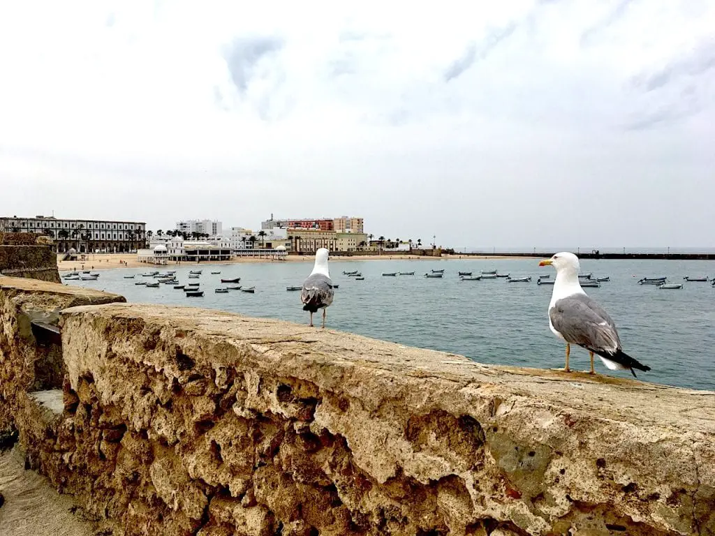 View of Cadiz