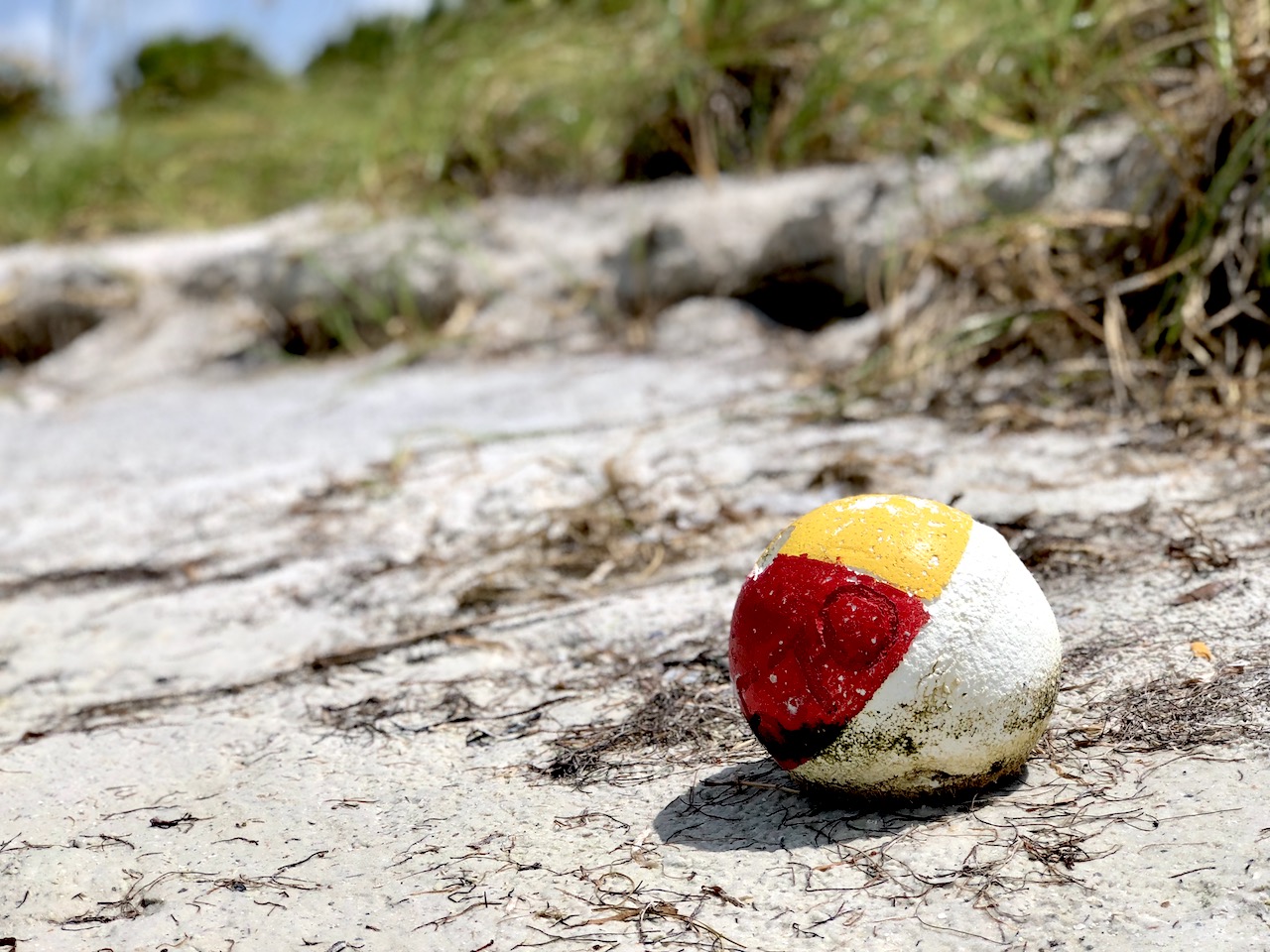 Fort de Soto is one of the most beautiful beaches on the Gulf of Mexico