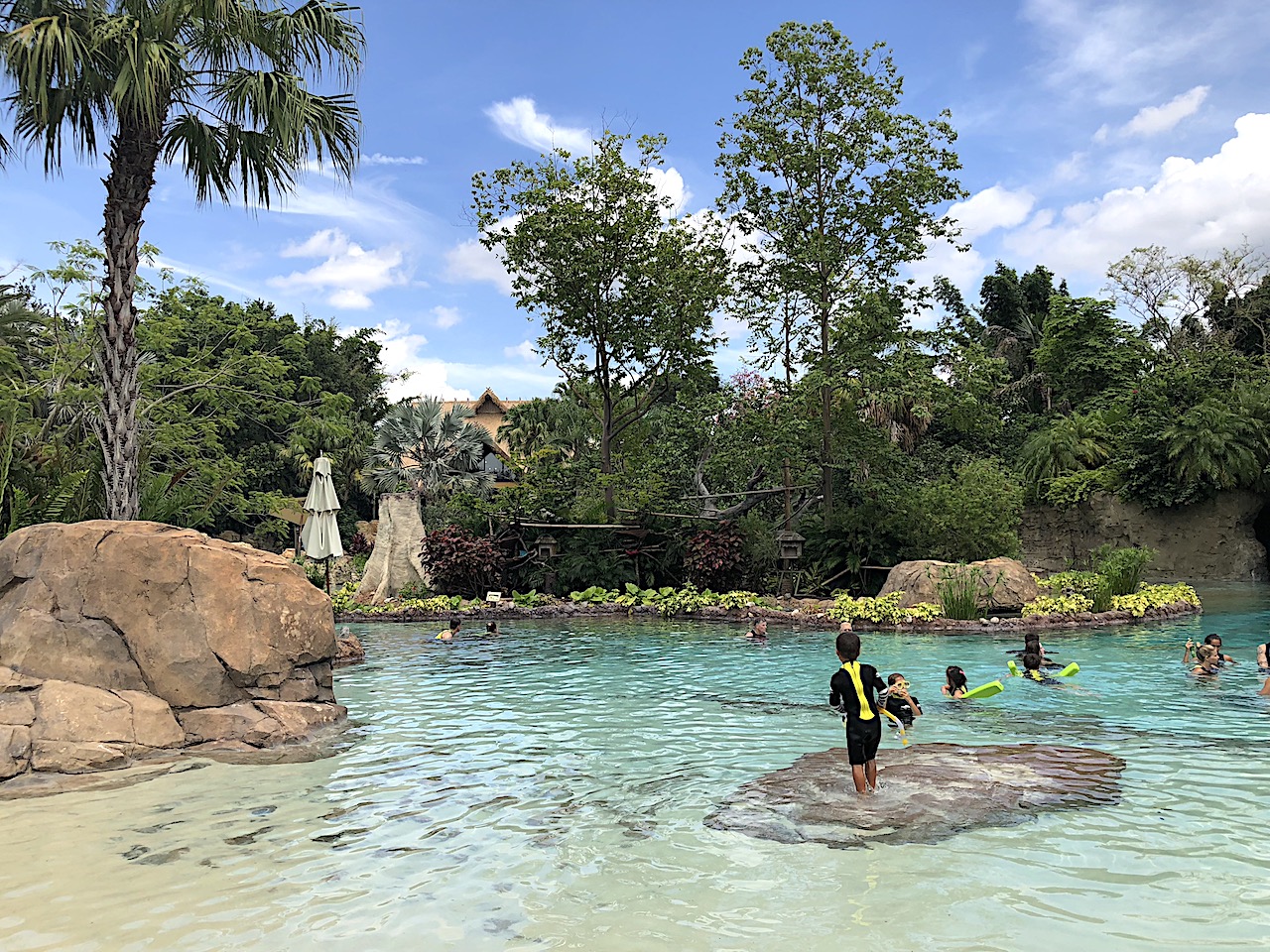 Discovery Cove Monkeys