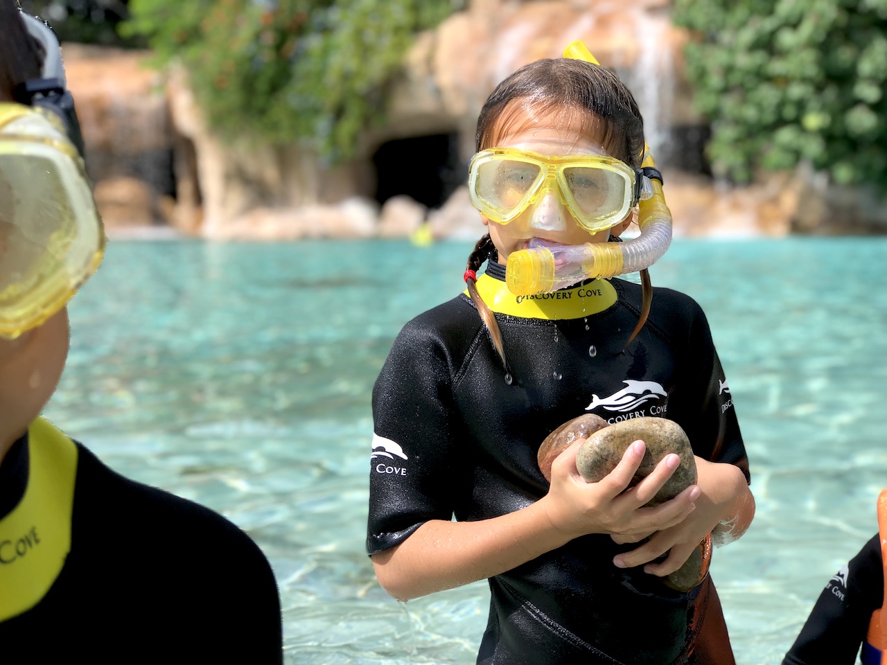 Discovery Cove Stones