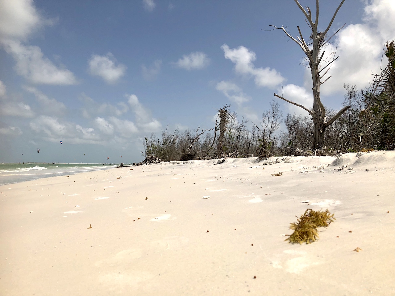 Fort de Soto is the perfect day trip from Orlando