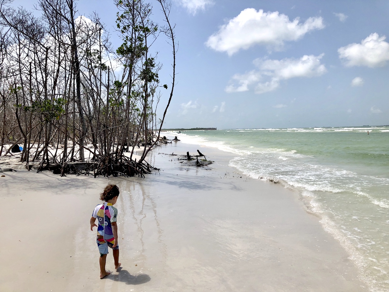 Fort de Soto Beach is a very natural beaches with no buildings in the background, but a wonderful nature and fauna