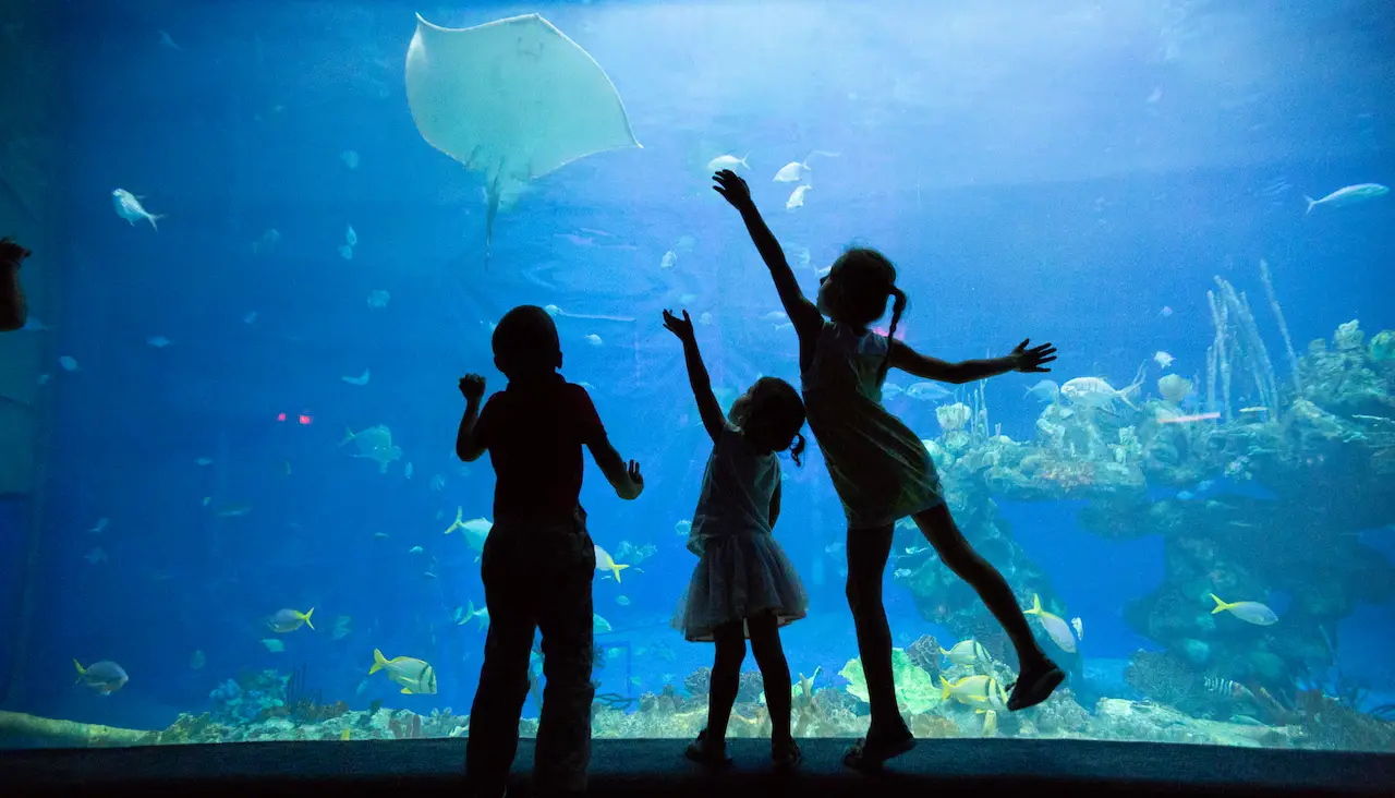 Kids at Epcot