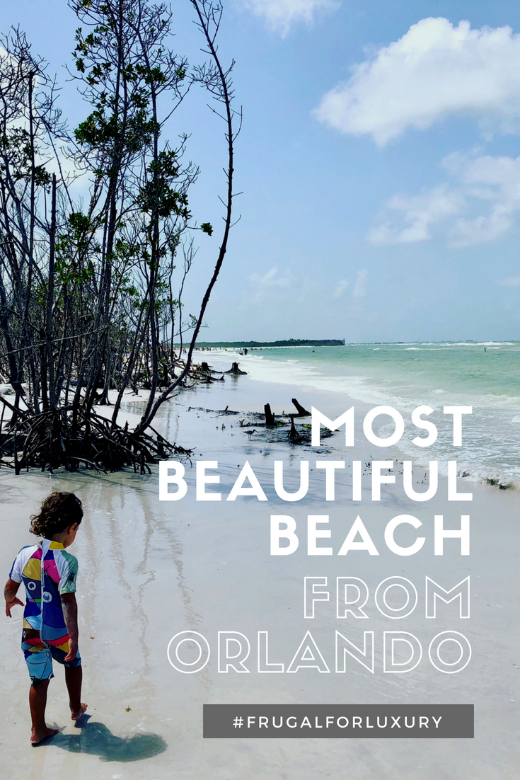Looking for a day trip from Orlando, FL, where the whole family will enjoy themselves at the beach? Look no further, Fort de Soto has it all! Beautiful beach, stunning nature, amenities and lifeguards! This is your day trip from Orlando