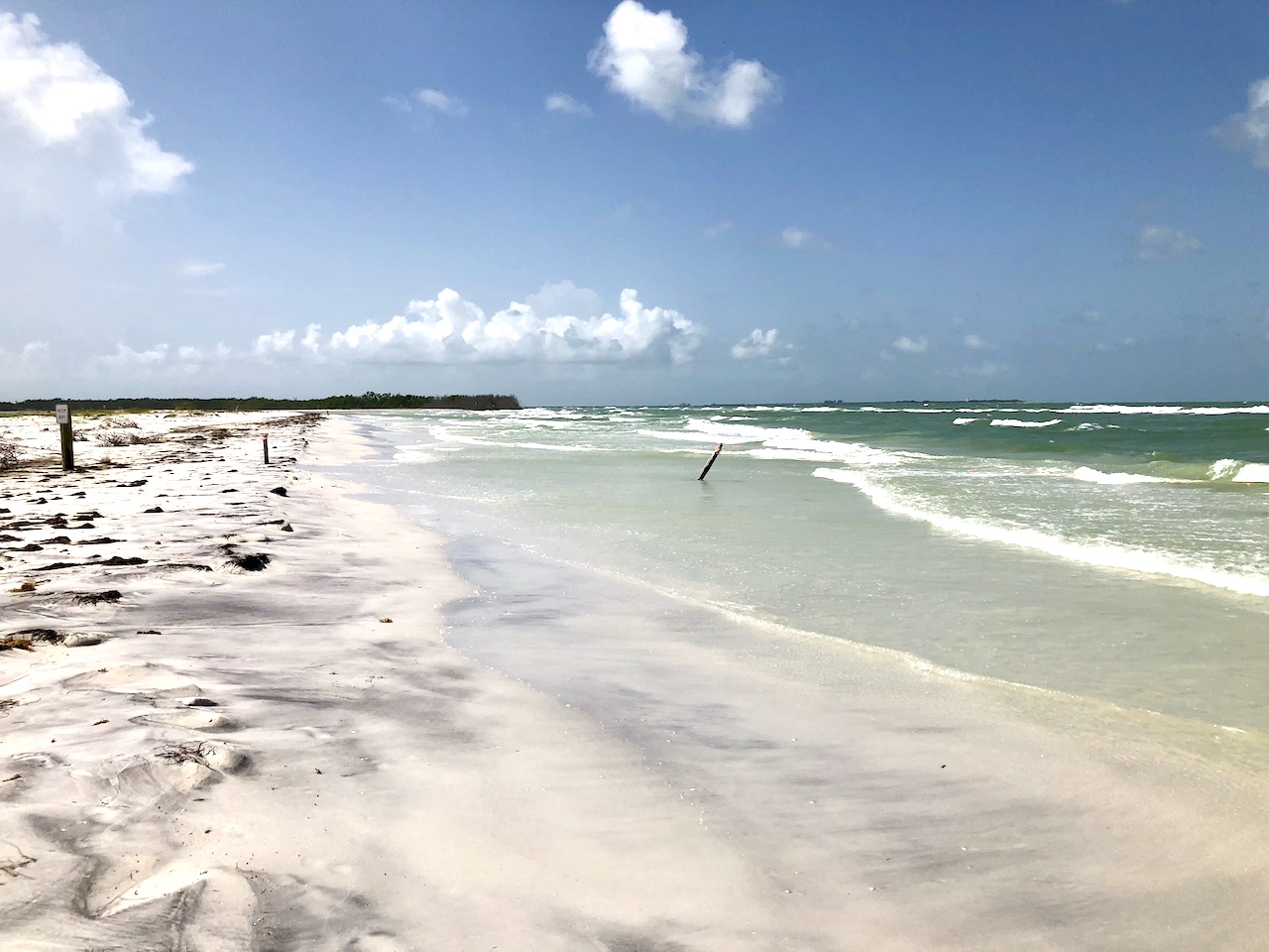 Natural beach at Fort de Soto Beach - best beach within driving distance of Orlando 