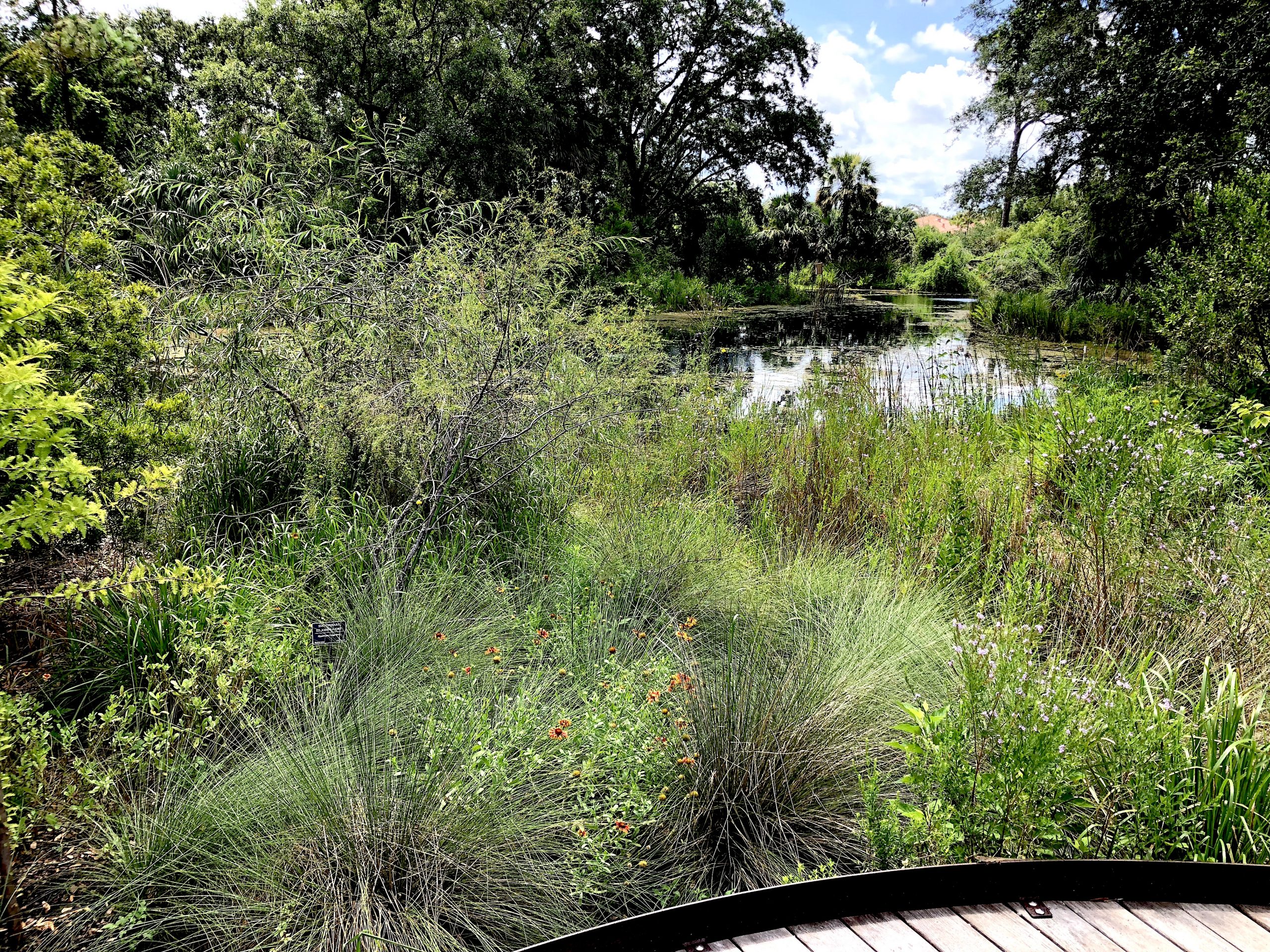 Pond at Bok Tower