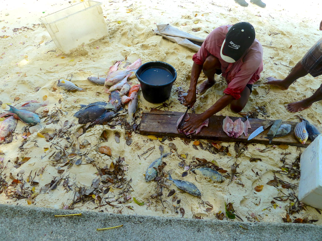 Silhouette Island Fisherman