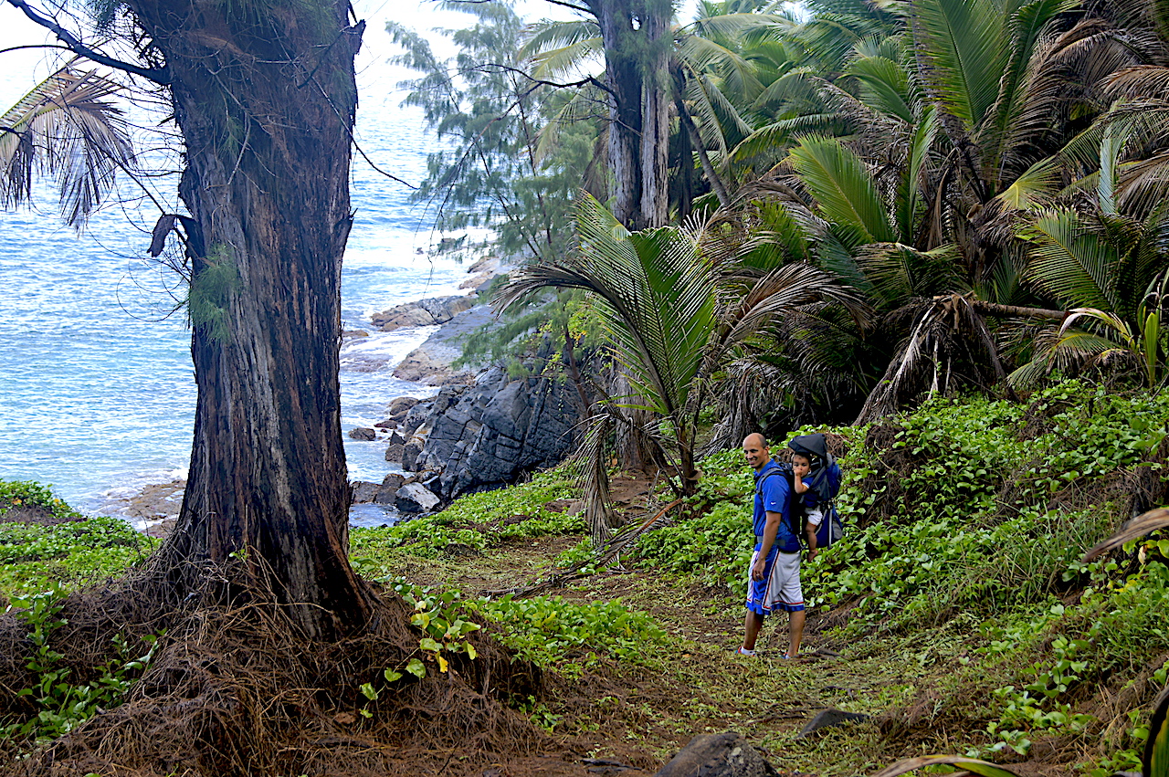 Silhouette Island Hike With Kids