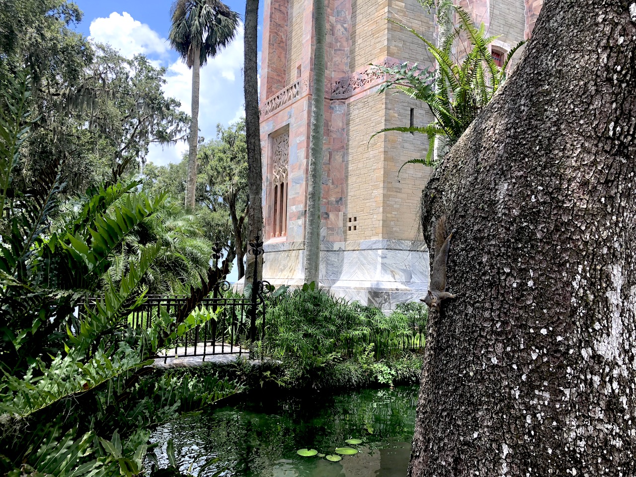 Squirrel at Bok Tower Gardens