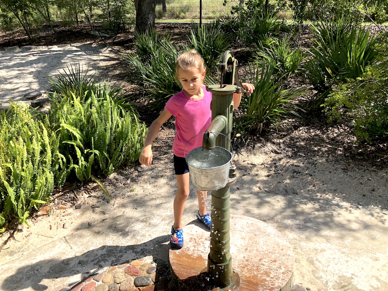 Water Pump Bok Tower