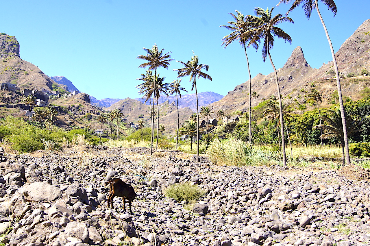 Visiting Cape Verde and trekking on Santo Antao with a guide #CapeVerde #Trekking #AdventureTravel