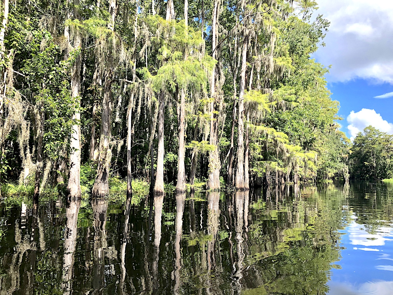 Canoeing in Orlando at Shingle Creek Regional Park #Orlando #Orlandowithkids #CanoeingOrlando #VisitOrlando #VisitKissimmee #OrlandowithKids #NatureOrlando #FamilyTravel