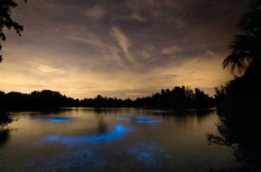 10 Day Trips from Orlando, FL #Orlando #VisitOrlando #OrlandoDayTrips #DayTrips #OrlandoFun #TripsAroundOrlando #ThingstoDoinOrlando