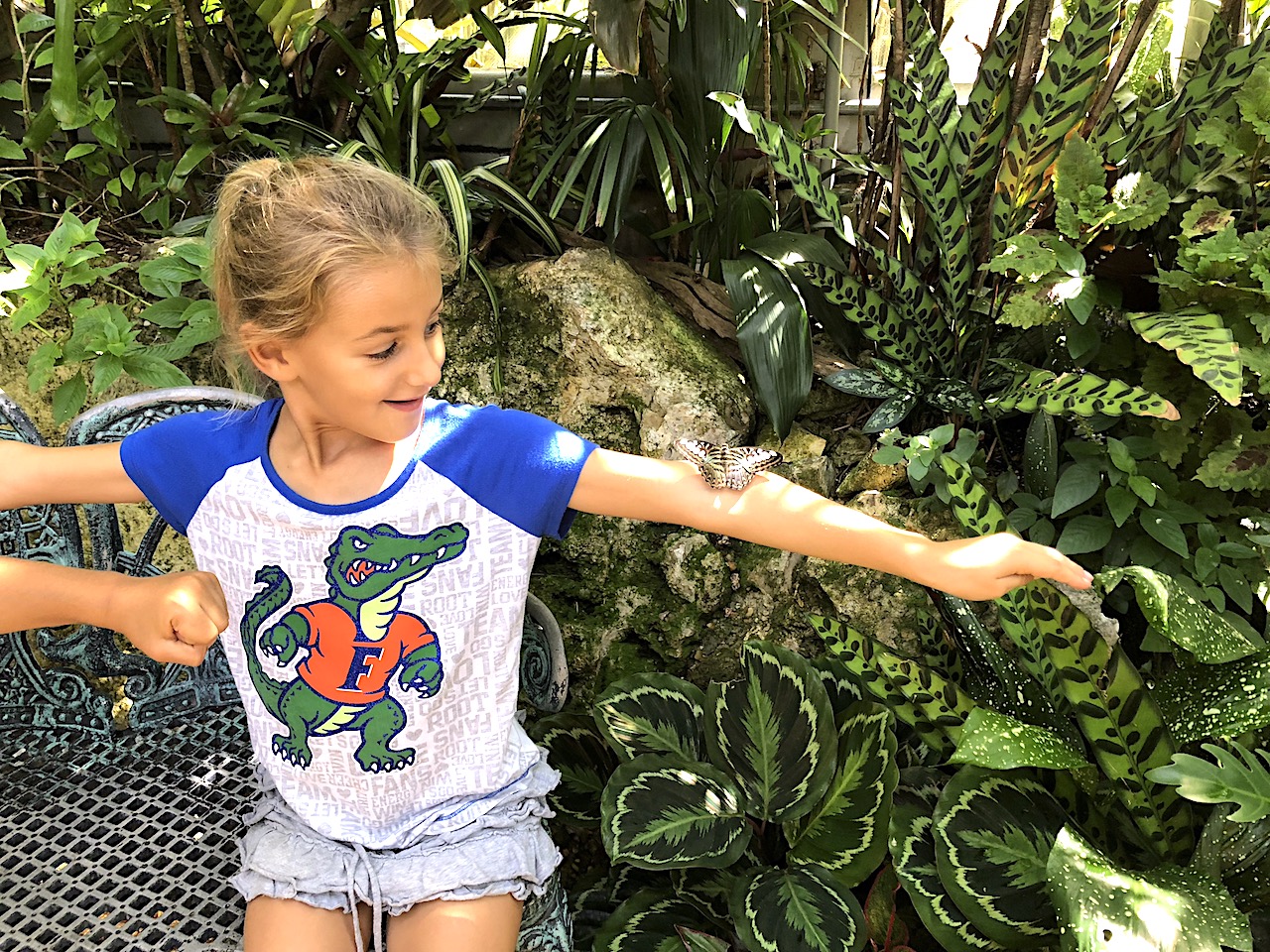 Butterfly Rainforest - 2-day itinerary for families in Gainesville, FL #gainesville #florida #tourofflorida #alachuacounty #gainesvilleFL #universityofflorida #UF #gogators #Gainesvillewithkids #gainesvilleitinerary
