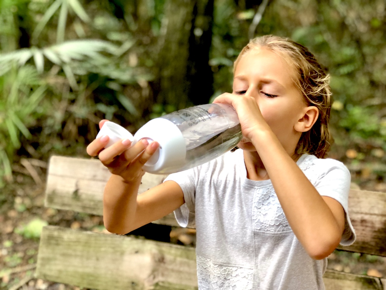 Devil's Millhopper Geological State Park - 2-day itinerary for families in Gainesville, FL #gainesville #florida #tourofflorida #alachuacounty #gainesvilleFL #universityofflorida #UF #gogators #Gainesvillewithkids #gainesvilleitinerary