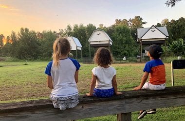 UF Bat Houses with Kids - 2-day itinerary for families in Gainesville, FL #gainesville #florida #tourofflorida #alachuacounty #gainesvilleFL #universityofflorida #UF #gogators #Gainesvillewithkids #gainesvilleitinerary