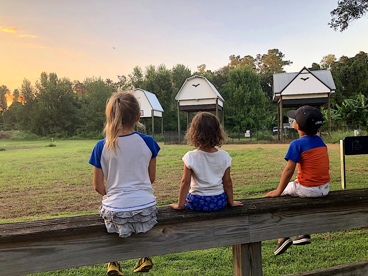 UF Bat Houses with Kids - 2-day itinerary for families in Gainesville, FL #gainesville #florida #tourofflorida #alachuacounty #gainesvilleFL #universityofflorida #UF #gogators #Gainesvillewithkids #gainesvilleitinerary