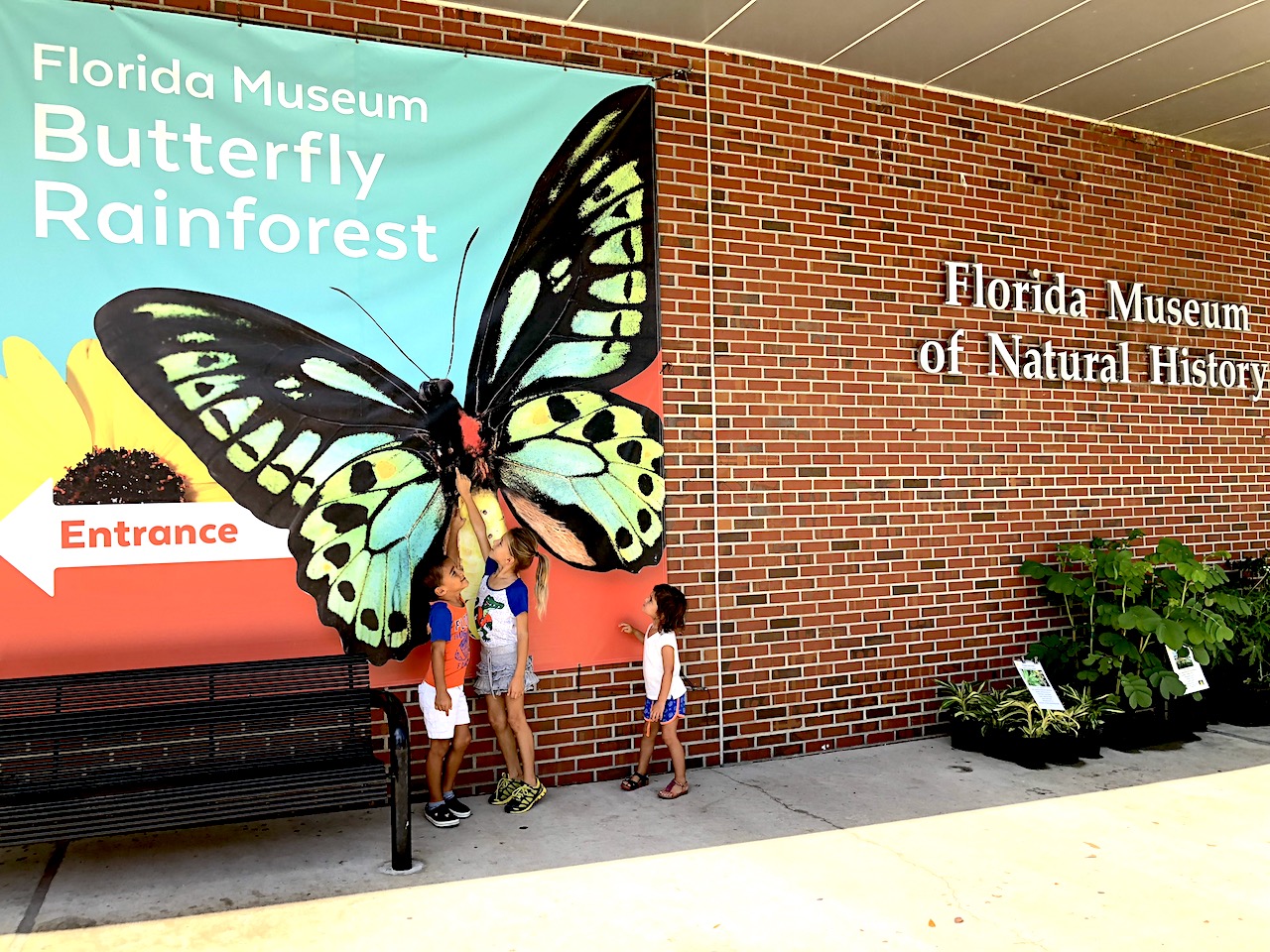 Florida Museum of Natural History. 2-day itinerary for families in Gainesville, FL #gainesville #florida #tourofflorida #alachuacounty #gainesvilleFL #universityofflorida #UF #gogators #Gainesvillewithkids #gainesvilleitinerary 