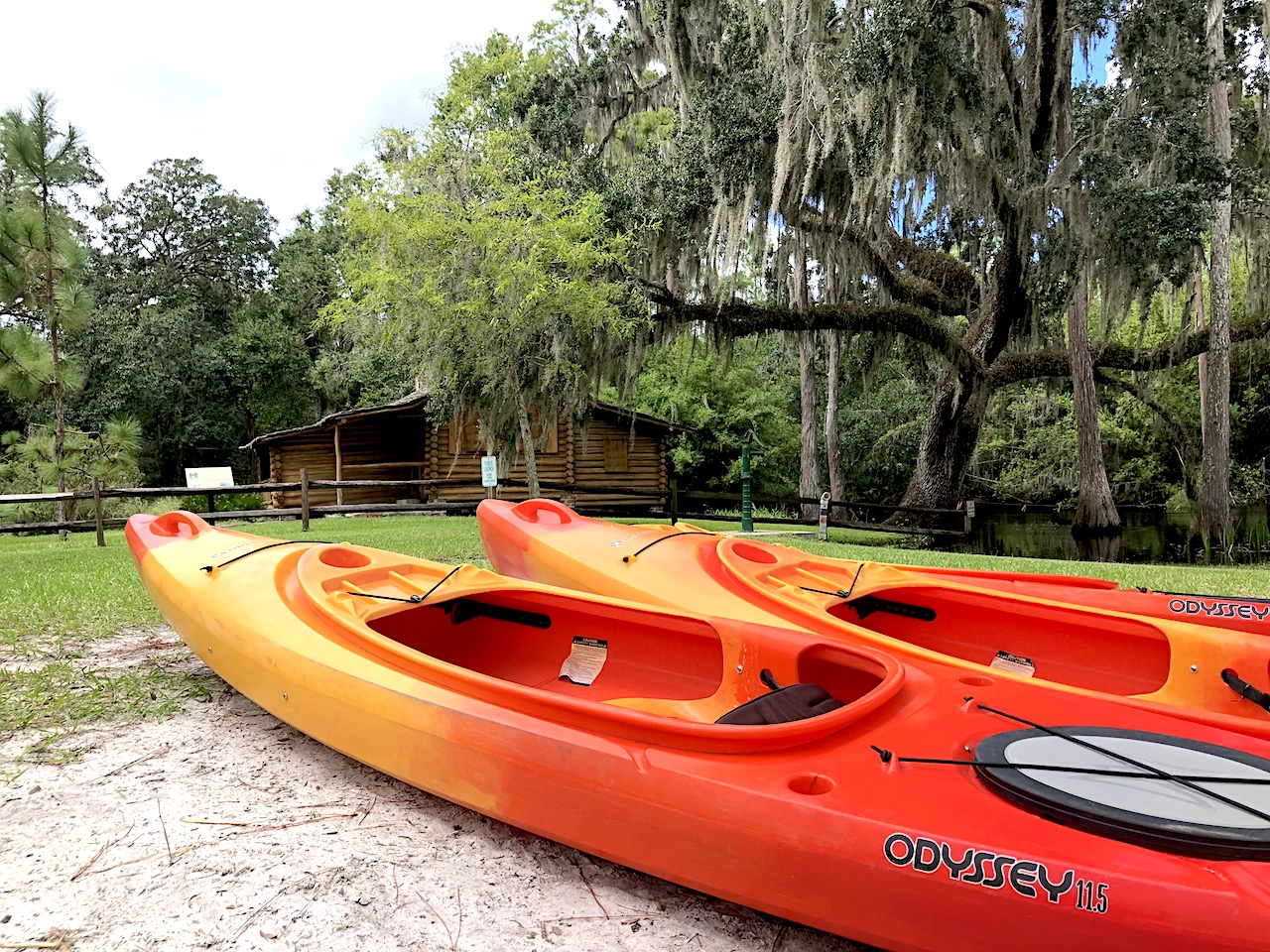 Canoeing in Orlando at Shingle Creek Regional Park #Orlando #Orlandowithkids #CanoeingOrlando #VisitOrlando #VisitKissimmee #OrlandowithKids #NatureOrlando #FamilyTravel