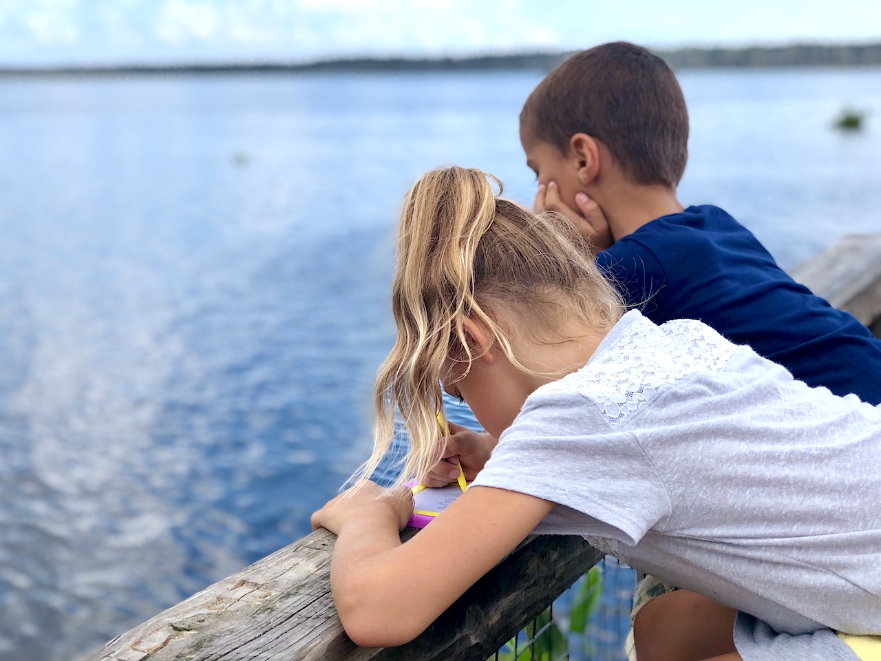 Kids in Gainesville - 2-day itinerary for families in Gainesville, FL #gainesville #florida #tourofflorida #alachuacounty #gainesvilleFL #universityofflorida #UF #gogators #Gainesvillewithkids #gainesvilleitinerary