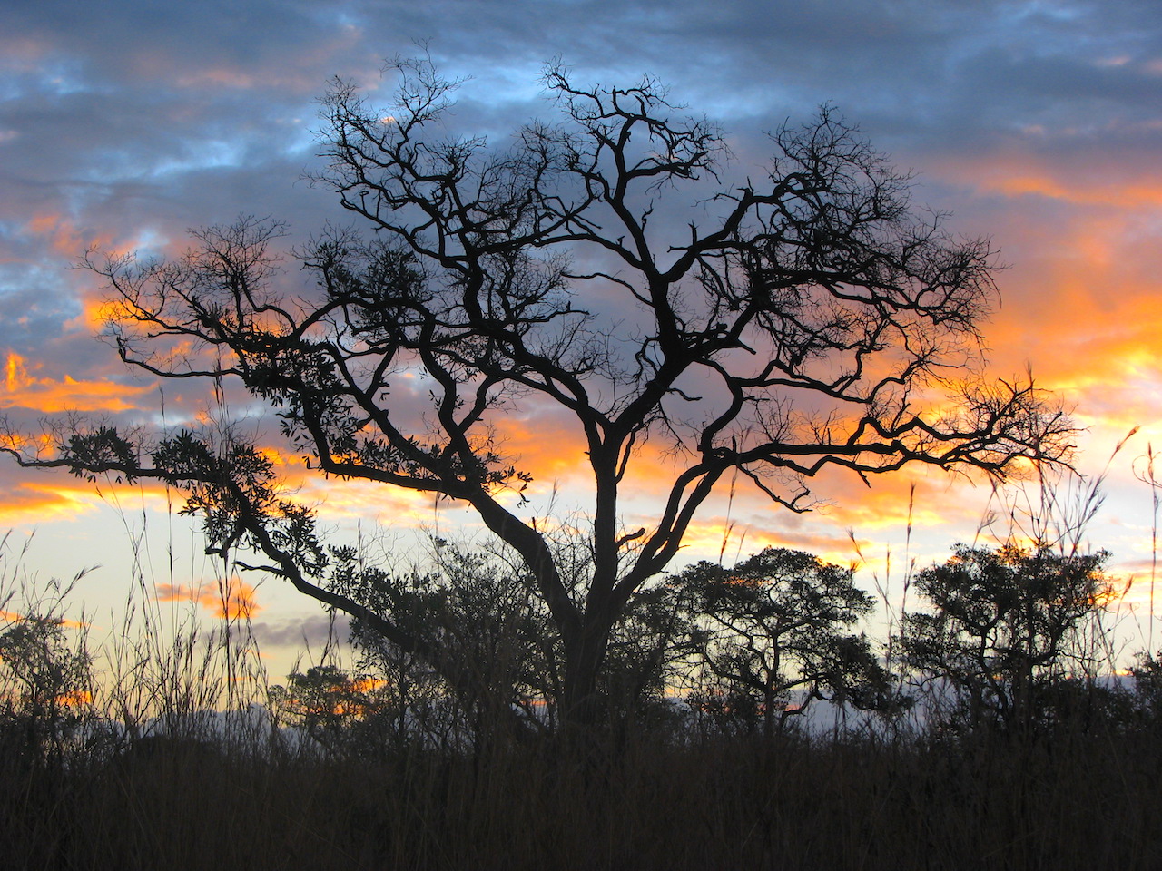 20 Photos That Will Make You Want to Visit South Africa #SouthAfrica #Safari #KrugerPark #CapeTown #VisitRSA #VisitSouthAfrica #SouthAfricaTrip #AfricaTravel #WorldTravel #TravelBlog