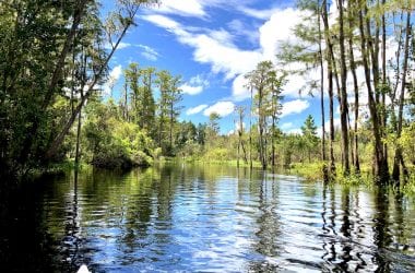 Canoeing in Orlando at Shingle Creek Regional Park #Orlando #Orlandowithkids #CanoeingOrlando #VisitOrlando #VisitKissimmee #OrlandowithKids #NatureOrlando #FamilyTravel