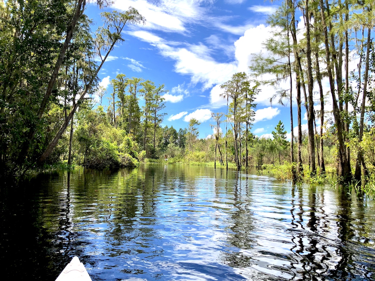 Canoeing in Orlando at Shingle Creek Regional Park #Orlando #Orlandowithkids #CanoeingOrlando #VisitOrlando #VisitKissimmee #OrlandowithKids #NatureOrlando #FamilyTravel