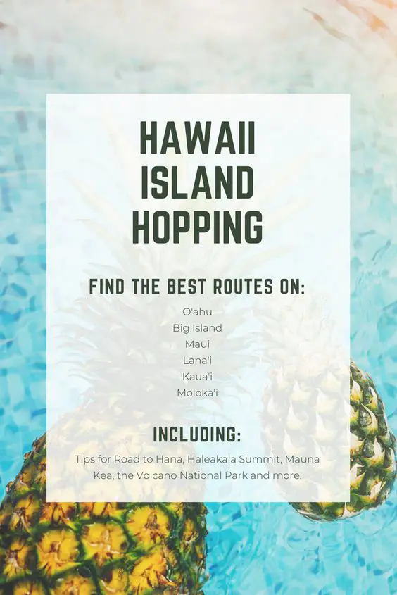 DCL has announced their new 2020 itineraries. They are going back to Hawaii from Vancouver and sailing from New Orleans for the first time ever. Get inspiration from travel bloggers on what each destination holds for you! | DCL | Hawaii Cruise | New Orleans #DisneyCruise #DCL #DisneyCruiseLine #DCL2020 #HawaiiCruise #NewOrleans