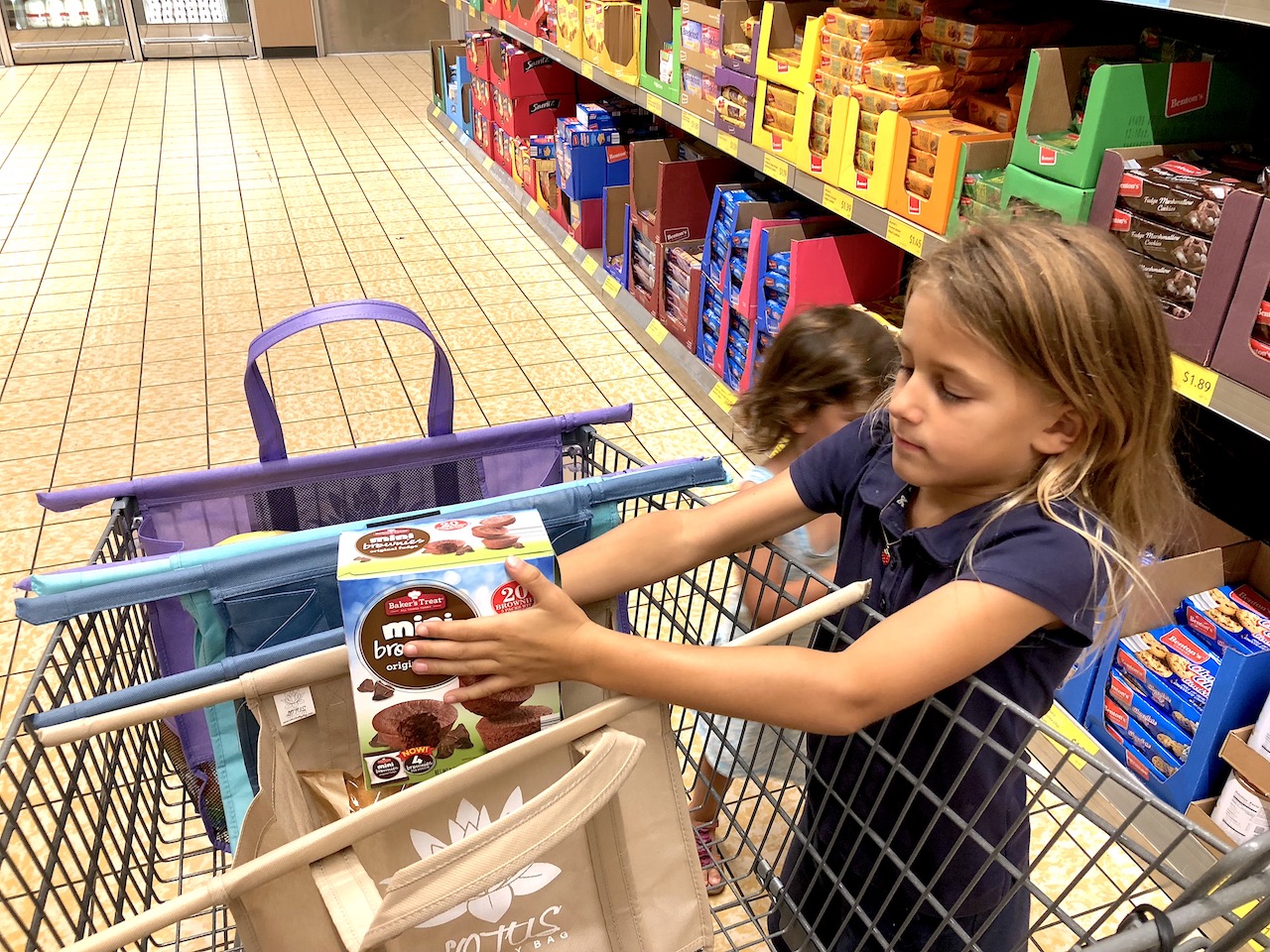 Tips for easy trips to the grocery store with kids! Lotus Trolley Bag is definitely our favorite way to grocery shop! #lotustrolleybag #gogreen #noplastic #plasticfree #shoppingwithkids #pareningtips #parenting #mommyblog #familylifestyle