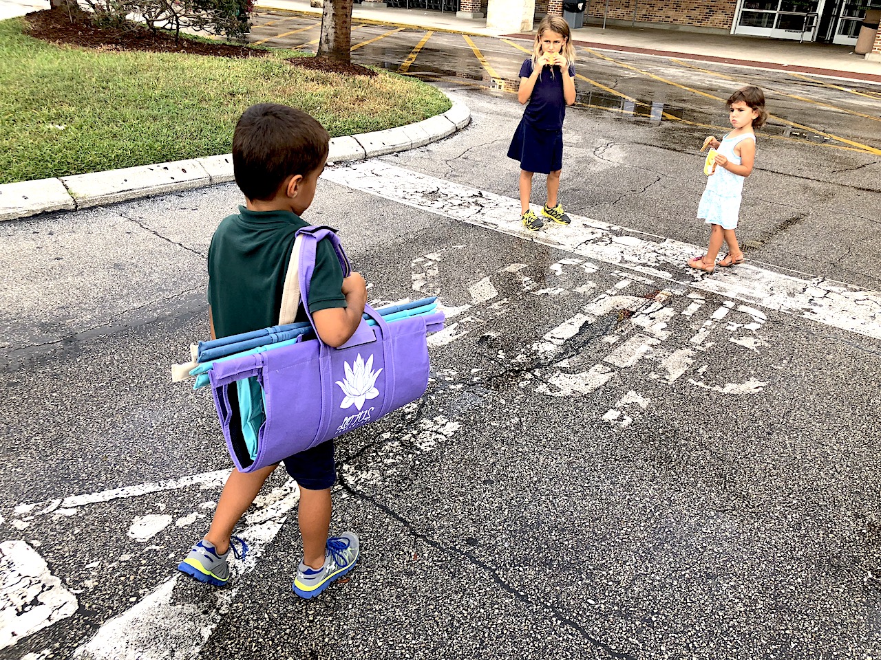 Tips for easy trips to the grocery store with kids! Lotus Trolley Bag is definitely our favorite way to grocery shop! #lotustrolleybag #gogreen #noplastic #plasticfree #shoppingwithkids #pareningtips #parenting #mommyblog #familylifestyle