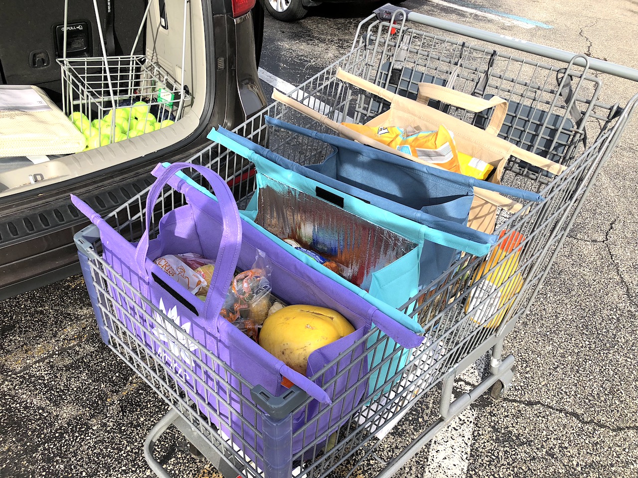 Tips for easy trips to the grocery store with kids! Lotus Trolley Bag is definitely our favorite way to grocery shop! #lotustrolleybag #gogreen #noplastic #plasticfree #shoppingwithkids #pareningtips #parenting #mommyblog #familylifestyle