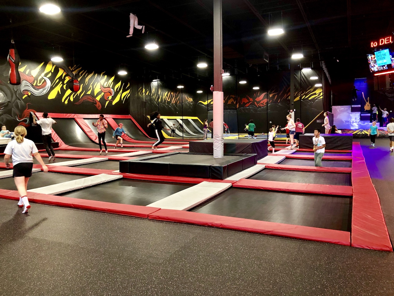 Trampoline Fun In Orlando, FL | Defy Orlando | Trampoline Park in Orlando, Fall | #defyorlando #trampoline #trampolinepark #orlando #orlandofun #orlandoactivities