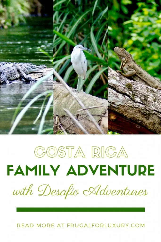 Costa Rica Family Adventure in La Fortuna - with Desafio Adventures | Family friendly tour in Costa Rica | Kid Friendly Costa Rica | La Fortuna, Costa Rica | Safari float in Costa Rica | River Safari | Iguanas in Costa Rica | Crocodile in Costa Rica | Costa Rica with Kids | #costarica #costaricawithkids #familytravel #familytravelblog #desafioCR #desafio #desafioadventures #costaricatour #travelingwithkids