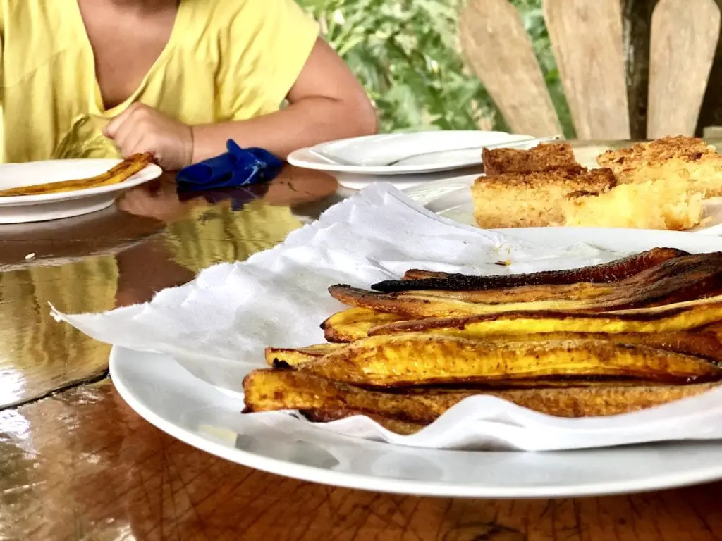 Costa Rica Family Adventure in La Fortuna - with Desafio Adventures | Family friendly tour in Costa Rica | Kid Friendly Costa Rica | La Fortuna, Costa Rica | Safari float in Costa Rica | River Safari | Iguanas in Costa Rica | Crocodile in Costa Rica | Costa Rica with Kids | #costarica #costaricawithkids #familytravel #familytravelblog #desafioCR #desafio #desafioadventures #costaricatour #travelingwithkids