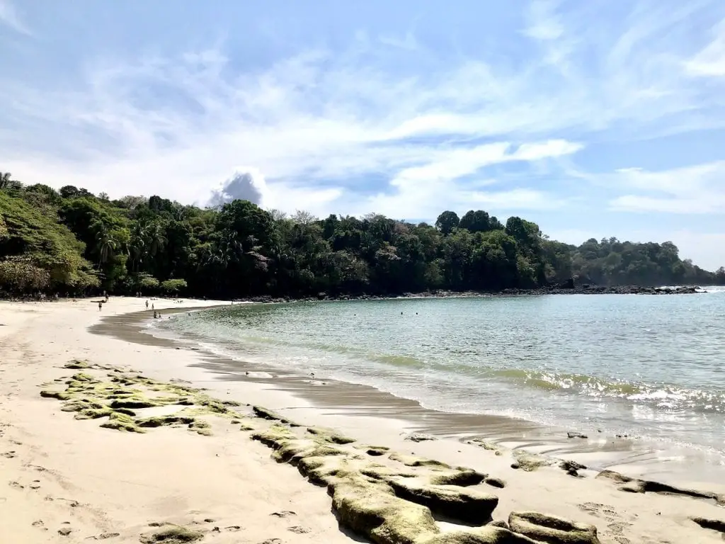 Parque Nacional Manuel Antonio with Kids | Costa Rica with kids | National Park Manuel Antonio | Playa Manuel Antonio | Traveling with kids | Central America | Family Travel Blog | #costarica #costaricawithkids #manuelantonio #parquenacionalmanuelantonio #traveltips #costaricatips #familytravel #travelfamily #familytravelblog