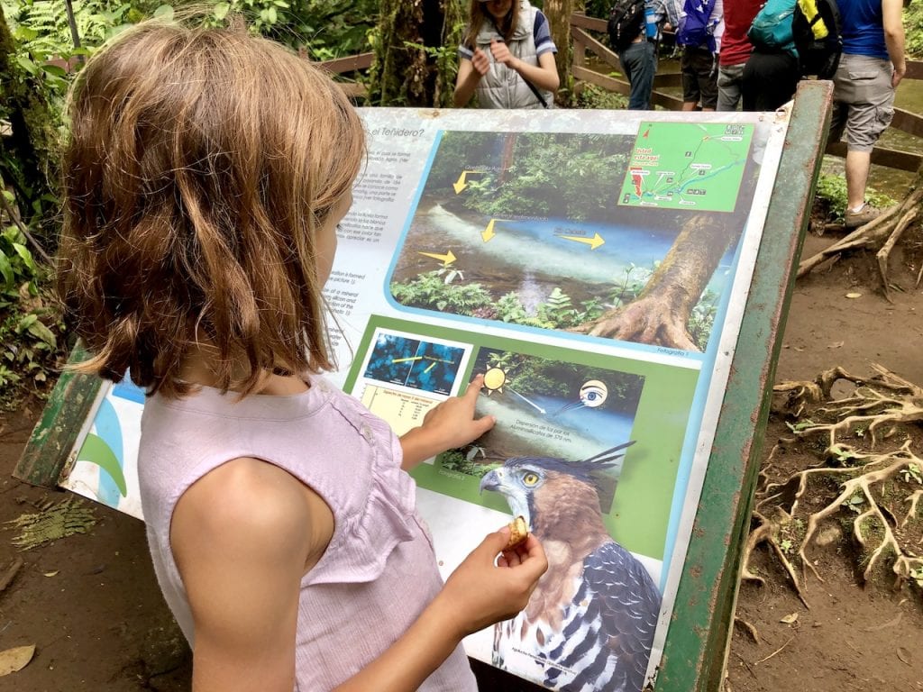 Parque Nacional Volcàn Tenorio With Kids - Costa Rica Report | Costa Rica with kids | Hiking with kids | Costa Rica volcano | Rio Celeste | Family travel blog | #costarica #visitcostarica #costaricawithkids #volcanotenorio #volcantenorio #familytravel #familytravelblog #centralamerica