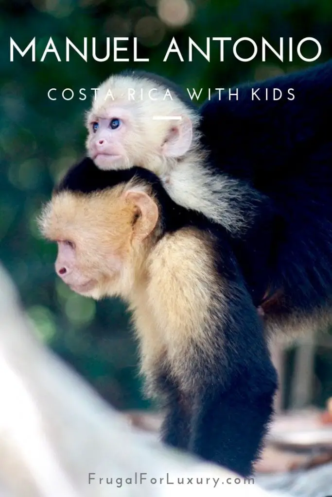 Parque Nacional Manuel Antonio with Kids | Costa Rica with kids | National Park Manuel Antonio | Playa Manuel Antonio | Traveling with kids | Central America | Family Travel Blog | #costarica #costaricawithkids #manuelantonio #parquenacionalmanuelantonio #traveltips #costaricatips #familytravel #travelfamily #familytravelblog