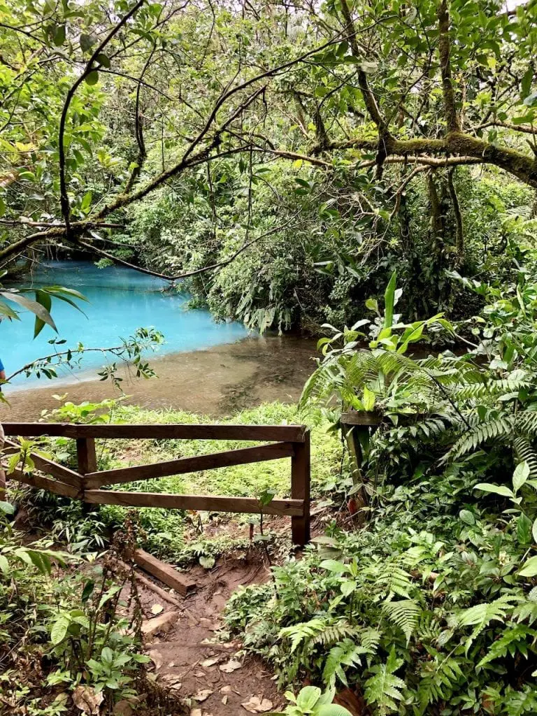 Parque Nacional Volcàn Tenorio With Kids - Costa Rica Report | Costa Rica with kids | Hiking with kids | Costa Rica volcano | Rio Celeste | Family travel blog | #costarica #visitcostarica #costaricawithkids #volcanotenorio #volcantenorio #familytravel #familytravelblog #centralamerica