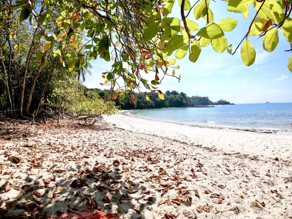 Parque Nacional Manuel Antonio with Kids | Costa Rica with kids | National Park Manuel Antonio | Playa Manuel Antonio | Traveling with kids | Central America | Family Travel Blog | #costarica #costaricawithkids #manuelantonio #parquenacionalmanuelantonio #traveltips #costaricatips #familytravel #travelfamily #familytravelblog