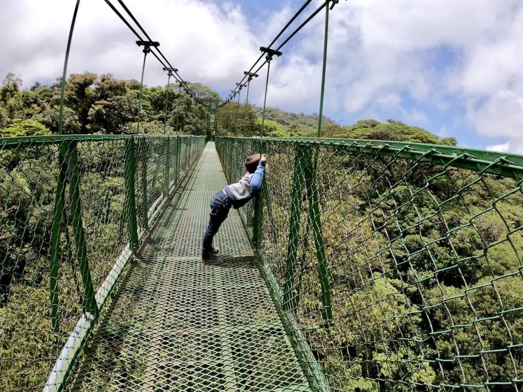 Zip Lining and Hanging Bridges with Kids in Monteverde, Costa Rica | Zip lining with kids | Selvatura Adventure Park | Costa Rica with kids | Suspension bridges | #costarica #costaricawithkids #suspensionbridges #ziplining #zipliningwithkids #costaricazipline