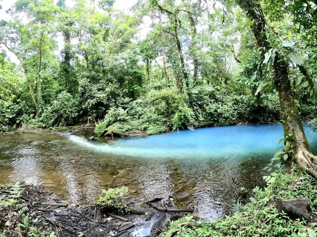 Parque Nacional Volcàn Tenorio With Kids - Costa Rica Report | Costa Rica with kids | Hiking with kids | Costa Rica volcano | Rio Celeste | Family travel blog | #costarica #visitcostarica #costaricawithkids #volcanotenorio #volcantenorio #familytravel #familytravelblog #centralamerica