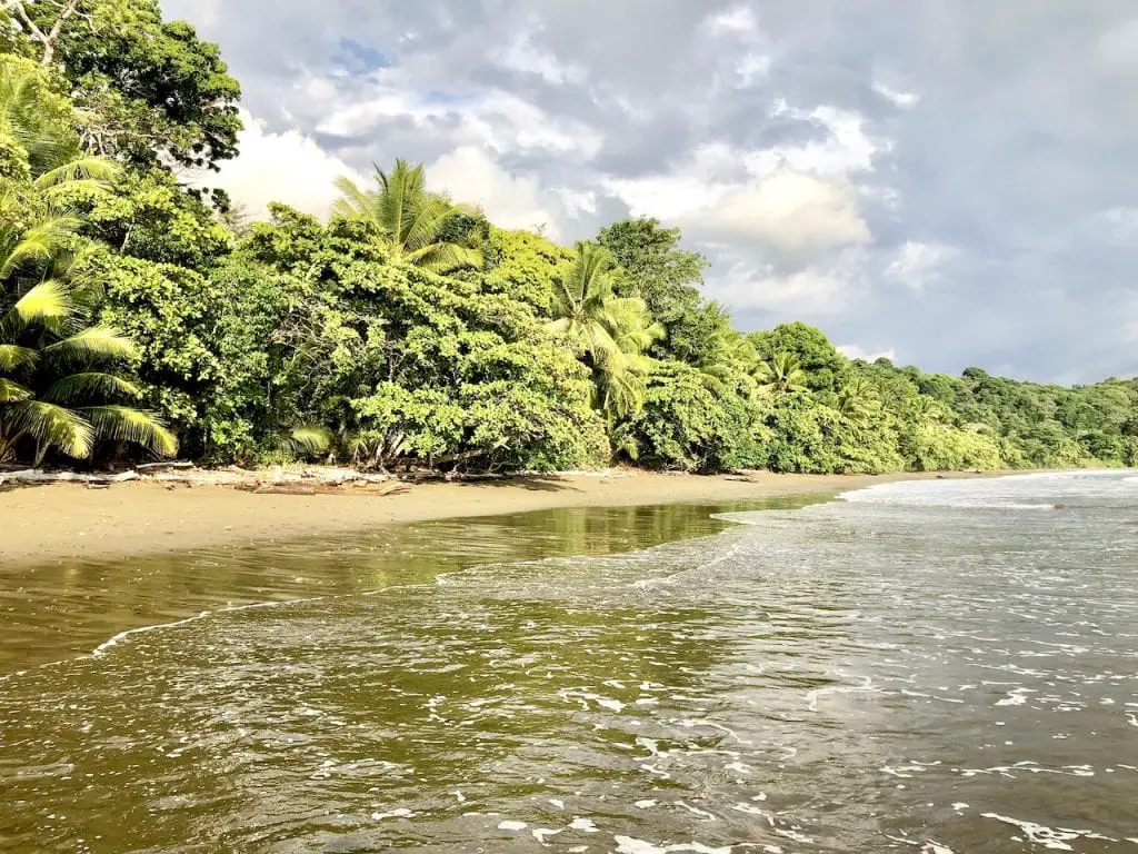 3 Days in Uvita, Costa Rica, With Kids! | Costa Rica travel | Best Costa Rica Beach | Pacific Beach | Marino Ballena Park | Family Travel | Traveling with kids | #familytravel #travelfamily #Uvitacostarica #uvita #costarica #costaricawithkids