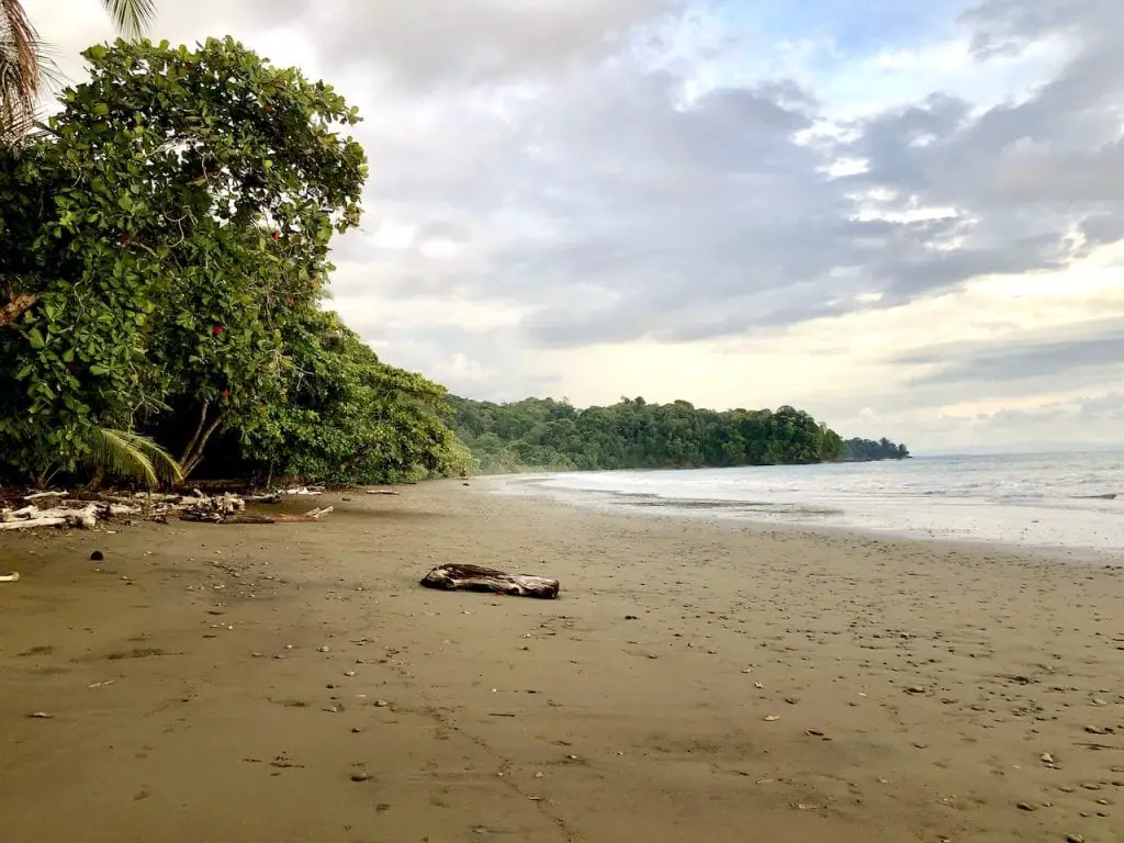 3 Days in Uvita, Costa Rica, With Kids! | Costa Rica travel | Best Costa Rica Beach | Pacific Beach | Marino Ballena Park | Family Travel | Traveling with kids | #familytravel #travelfamily #Uvitacostarica #uvita #costarica #costaricawithkids