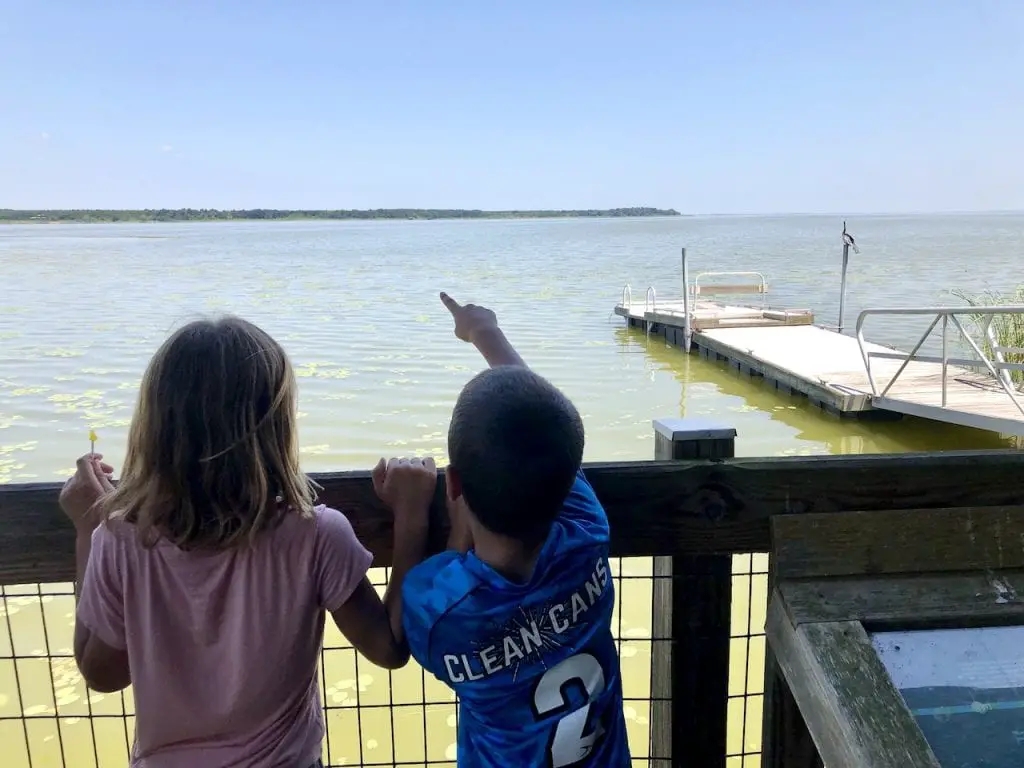 Biking the West Orange Trail with kids, in Orlando, FL | Orlando day trip | Orlando outdoor activity with kids | Orlando fun | Orlando with kids | Biking in Orlando | #familytravel #orlando #orlandowithkids #orlandofun #orlandobiking