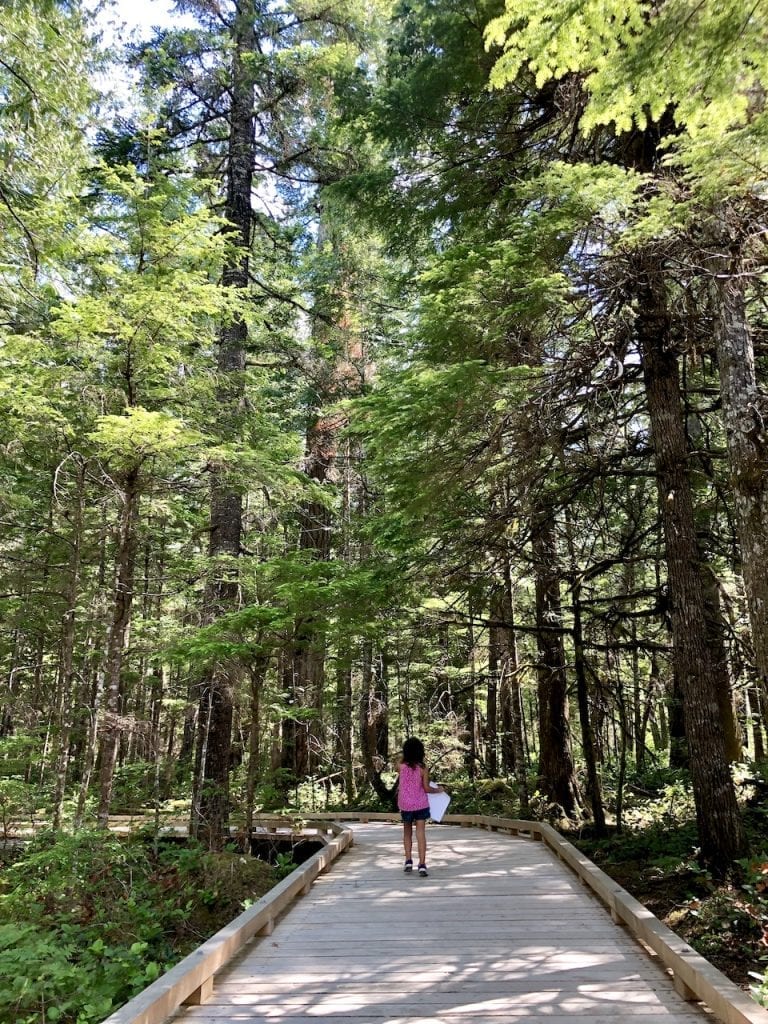 Road Tripping The State Of Washington With Kids On The Cascade Loop | Family Travel | Family Road Trip | Washington State Road Trip | Lake Chelan, WA | Diablo Lake | La Conner, WA | #cascadeloop #washingtonstate #roadtrip #roadtripwithkids #familytravel #familyroadtrip