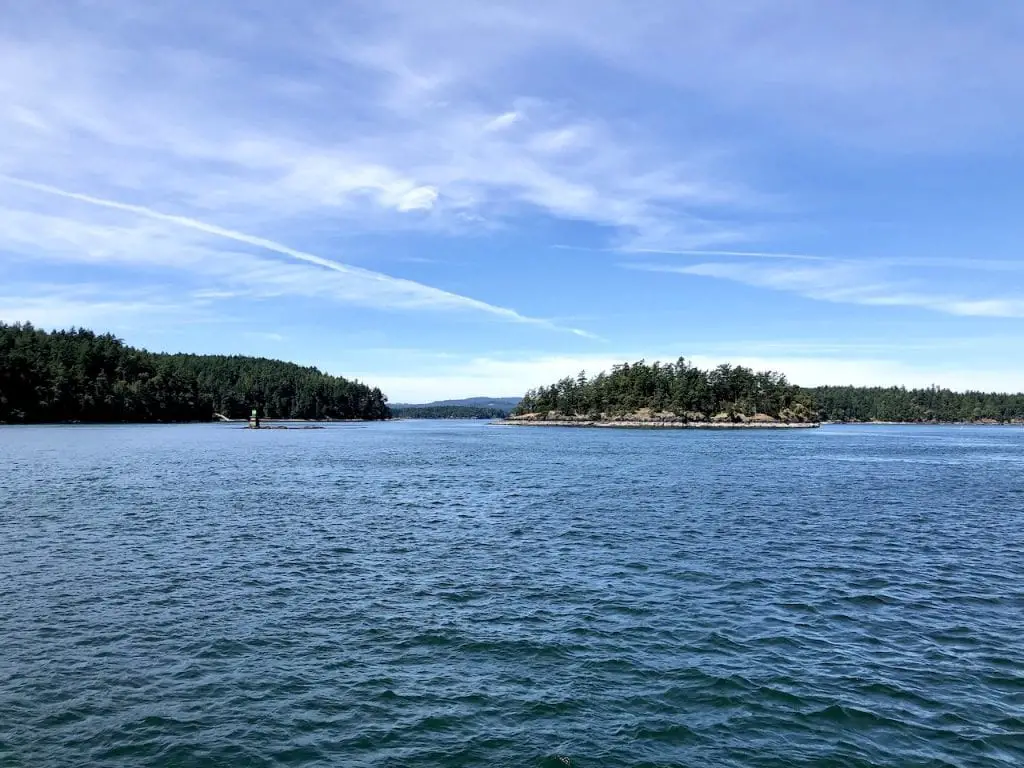 Family Roadtrip Through Washington State on the Cascade Loop | Island Adventures Whale Watching near Seattle | Whidbey Island | Fort Casey Inn | San Juan Islands | Whale Watching Cruise | Family Travel | #familytravel #familyroadtrip #cascadeloop #washingtonstate #whalewatching