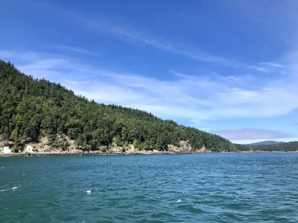 Family Roadtrip Through Washington State on the Cascade Loop | Island Adventures Whale Watching near Seattle | Whidbey Island | Fort Casey Inn | San Juan Islands | Whale Watching Cruise | Family Travel | #familytravel #familyroadtrip #cascadeloop #washingtonstate #whalewatching